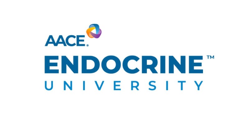 endocrine university